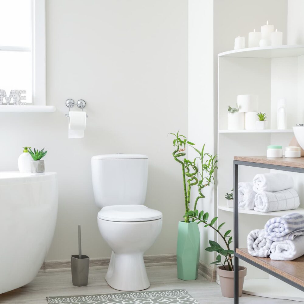 Quel type de WC choisir pour sa salle de bain ? Lingolsheim